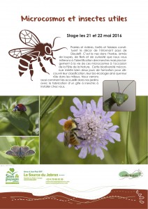 stage-insectes-Jabron 2016 (glissé(e)s)